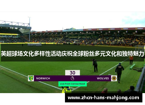 英超球场文化多样性活动庆祝全球粉丝多元文化和独特魅力