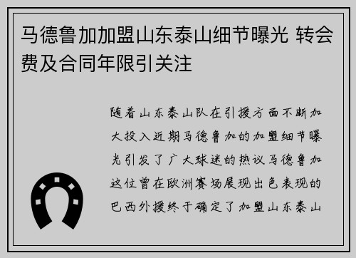 马德鲁加加盟山东泰山细节曝光 转会费及合同年限引关注